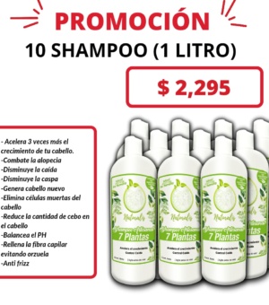 MAYOREO SHAMPOO (1LTO)
