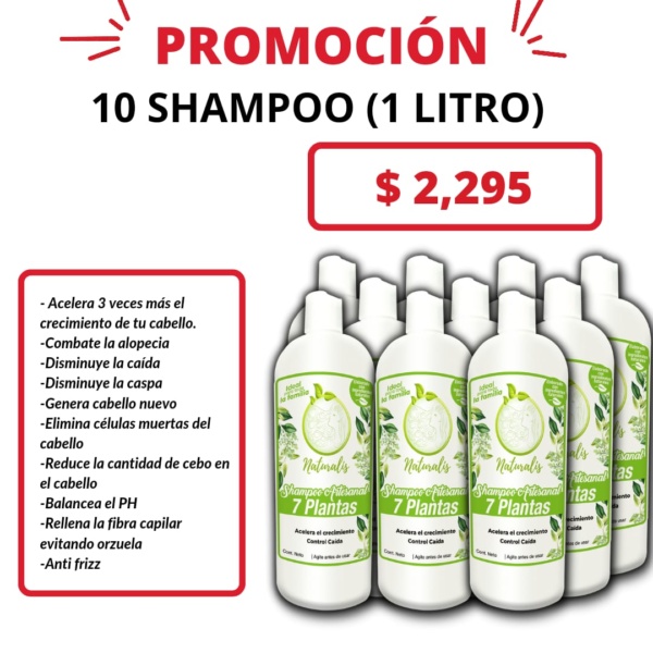 MAYOREO SHAMPOO (1LTO)